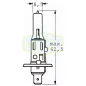 24V H1 70W Trifa izzó P14,5s STD