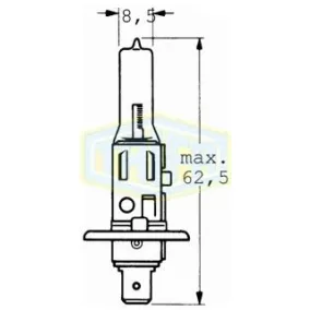 H1 12V 55W p14,5s+120% night b   Trifa izzó P14,5s 